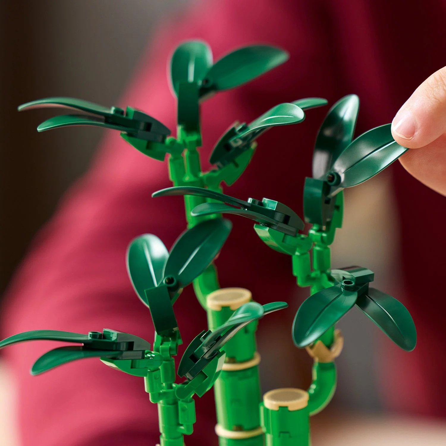 LEGO® Botanicals Lucky Bamboo - Image 6