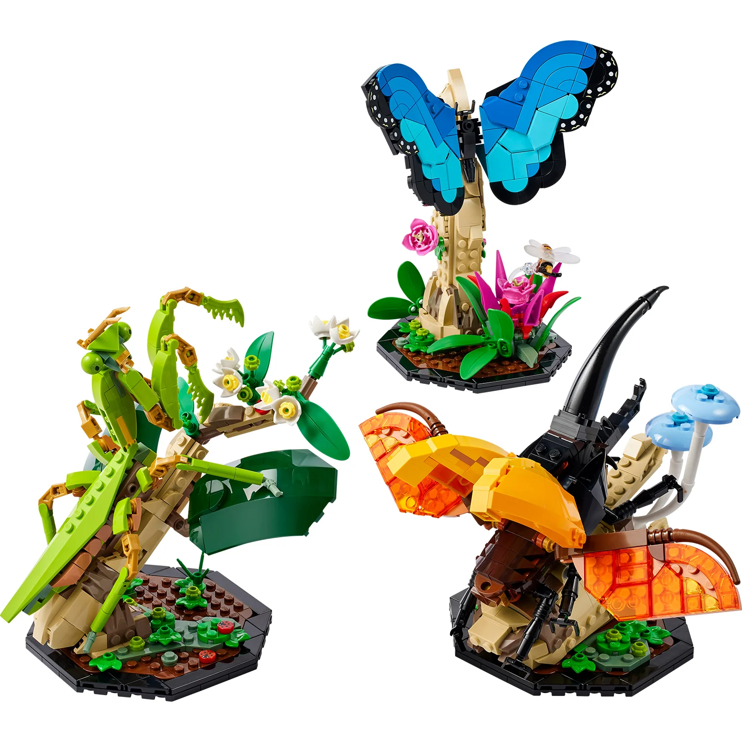 LEGO® Ideas The Insect Collection - Image 2